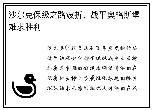 沙尔克保级之路波折，战平奥格斯堡难求胜利